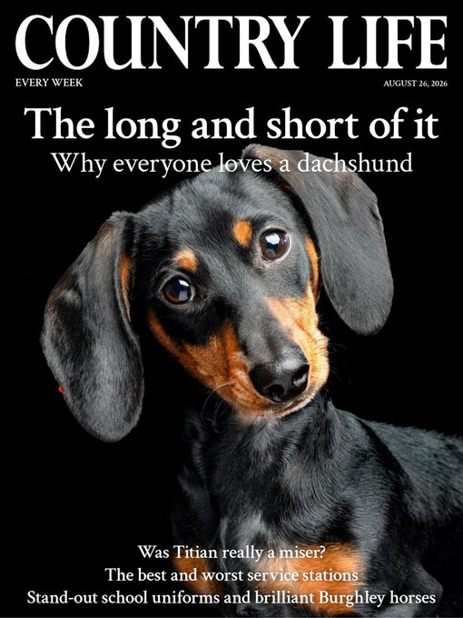 Cover image for Country Life
